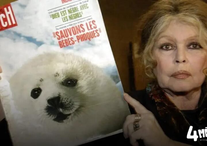 Brigitte Bardot: ícone do cinema, ativismo animal e polêmicas